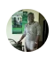 Nigeria